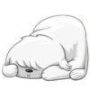 Cute dog 7