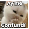 Ay me
Confundí