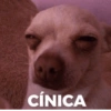 Deboche 2.0 5