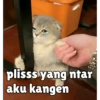 plisss yang ntar
aku kangen