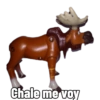 Bob el cerdito Oficial 21