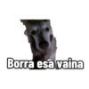 Perritos 5