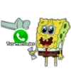 Tus mensajes