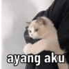 Kicong gemezz 15