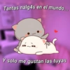 😎Shitpost Amor 4k❤️ 27
