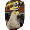 vamos a tomar algo