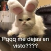 Michis con frases UwU🐱🍭🍨 9