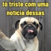 Memes e reações 🙃 14