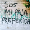 505 Mi PAJA PREPERIDA