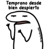 🌈Flork Mixteadito 2🧦 16