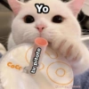 🌈 Gatitos para responder 5 🐈 19