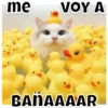 me
VOY A
BANAAAAR