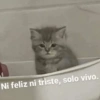 Memestickers Mix 😎🤘 30