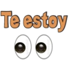 Te estoy