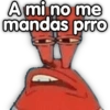 🧨Momos XD😎🧸 16