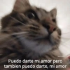 ichspar
Puedo darte mi amor pero
tambien puedo darte, mi amor