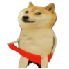 Dogesh & Cheemas 16