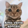 🌈 Gatitos para responder 5 🐈 29