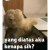 k
he
yang diatas aku
kenapa sih?