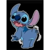 Stich 29