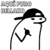AQUÍ PURO
BELLAKO