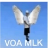 VOA MLK