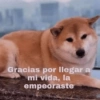 14
Gracias por llegar a
mi vida, la
empeoraste
