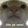 @michis.para.ti
Ola ya volvi