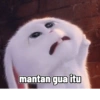 mantan gua itu