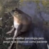 quería estudiar psicología pero
tengo más potencial como paciente