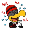 Urubu de Flamengo 9