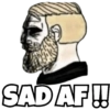 Trending Memes 11