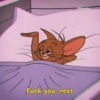 Tom and jerry 20
