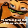 ya pareces piojo todo
el dia en mi cabeza