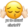 😎Memesitos Mor😳 12