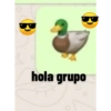 El pato de WhatsApp 9