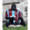 macron
QNB
NSBANK