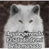 Aquí esperando El saludo de mi Bella manada