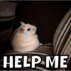 HELP ME