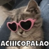 Animalitos 10