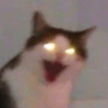 GATOS CURA DEPRESIÓN🙀😎🤠 9