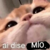 😎🔥 Memes pa' ligar 2 🔥😏🥵 27