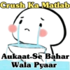 Crush Ka Matlab Aukaat-Se Bahar Wala Pyaar