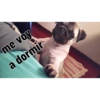 me voy a dormir