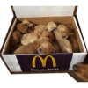 Perritos mal recortados 5