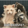 QUÉ DIJISTE?