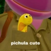 Pichula 9
