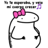 🌈Flork Mixteadito 2🧦 10