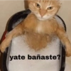 yate bañaste?