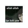 allah allah işe bak yaw